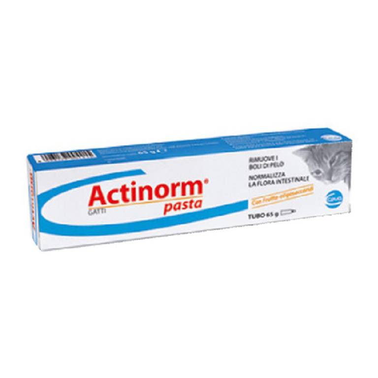 ACTINORM PASTA GATTI 65G