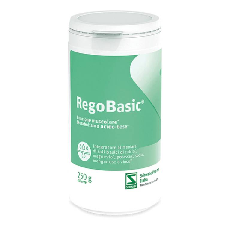 REGOBASIC POLVERE 250G